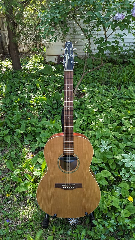 Seagull Coastline S6 Folk Cedar | Reverb