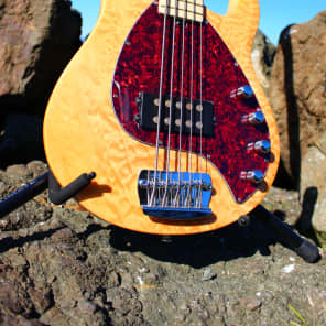 OLP Tony Levin Signature 5-String Bass  Flamed Natural image 11