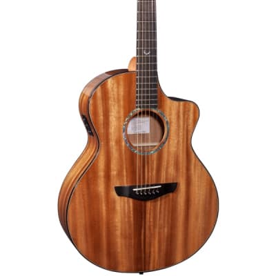 Faith Neptune Acoustic Guitar FXNCE-HM - Cutaway Electro Limited Edition Harvest Moon image 2