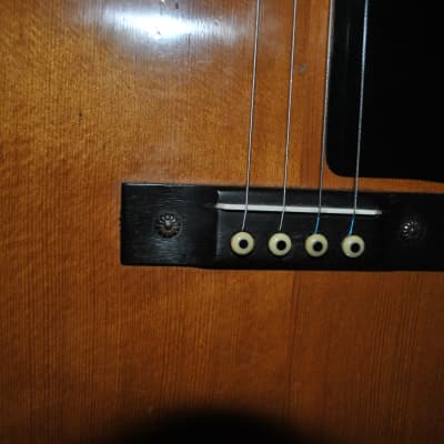 Regal (Harmony) tenor guitar w/TKL hard case image 9