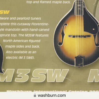 Washburn M2SW 2000 Sunburst image 2
