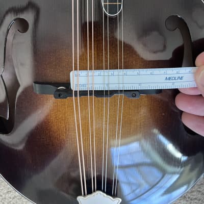 Wilson WTP-5 Two Point Mandolin | Reverb