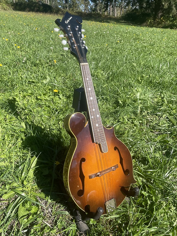 1979-80 MIJ Epiphone MM-50 mandolin- al original- With Case image 1