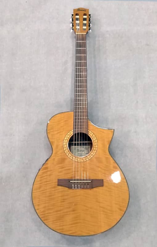 Ibanez EWN30 Natural Nylon