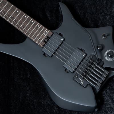 HEX Guitars / N500P Black