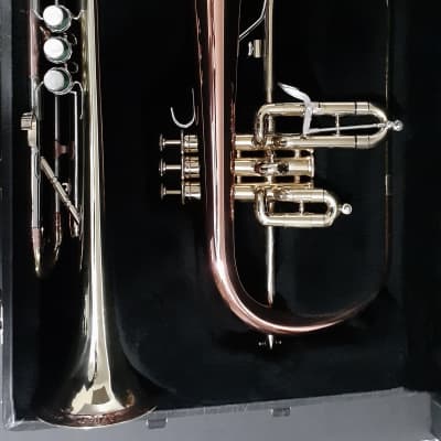 Blessing Flugelhorn & GETZEN Super Deluxe Trumpet W Combo Case & MP's - Clear Lacquer / Raw Brass image 12