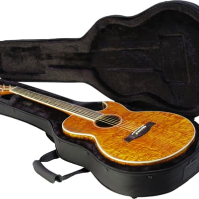 SKB 1SKB-SC30 Thin-line Acoustic/Classical Guitar Soft Case image 4