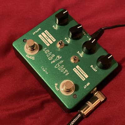 Caline CP-20 Crazy Cacti Overdrive 2010s - Green image 4