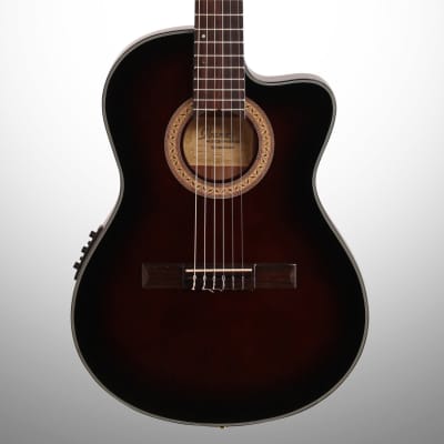 Ibanez GA35TCE Thinline Classical Acoustic-Electric Guitar image 1