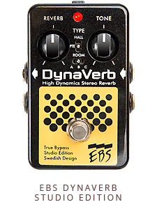 EBS DynaVerb Studio Edition Bass Reverb | Reverb