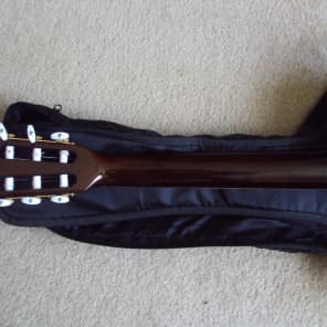 Ibanez AEG10NE Nylon String Cutaway Acoustic-Electric Guitar image 7