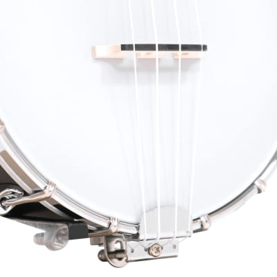 Gold Tone BUS: Soprano-Scale Banjo Ukulele with Case image 3