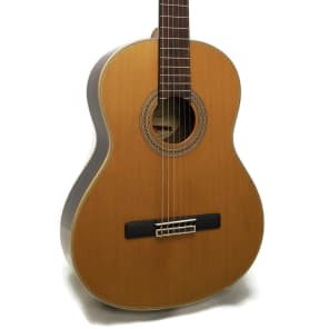 Samick Greg Bennett Design C5 Barcelona Series Nylon Classical