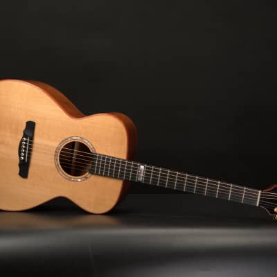 Washburn DC-60e Lexington Acoustic Electric w/Stephens