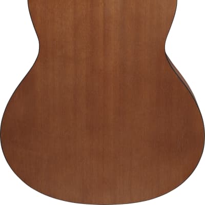 Ibanez GA2 3/4 Size Nylon String Guitar Open Pore Amber image 5