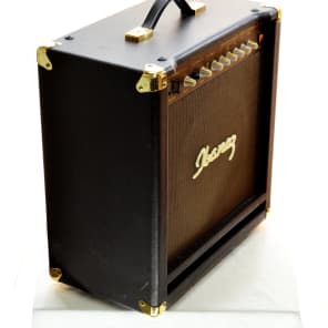 ✦Ibanez エレアコ用 トランジスタアンプ TROUBADOUR TA25✦ Ibanez Troubadour TA25 Acoustic Guitar Amp w Mic Input + EFX