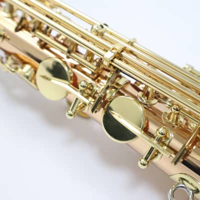 Freeshipping! Yanagisawa A-WO2[AW02] Professional Alto Saxophone image 12