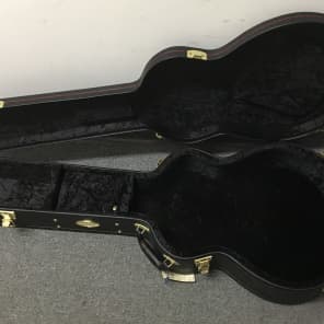 Breedlove acoustic guitar case clearance