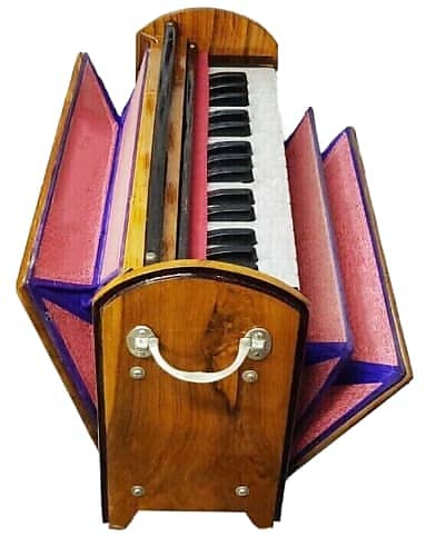 Harmonium deals type instrument