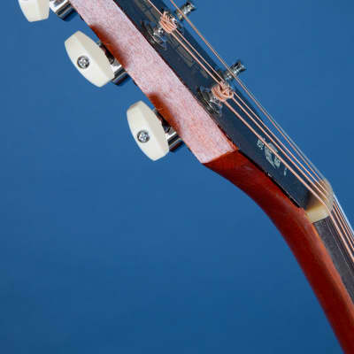 Harmony H165 / X-Brace Conversion / 1958-68 / Gimme the Works! image 10