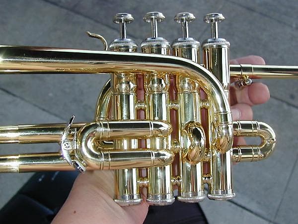BerkeleyWind Pro Bb/A/G Gold Brass Piccolo Trumpet | Reverb