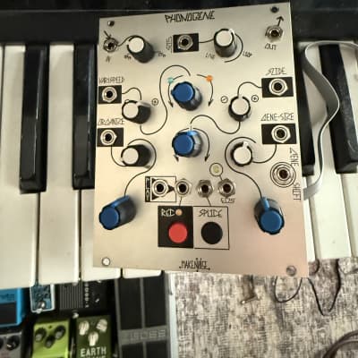 Make Noise Phonogene Module | Reverb