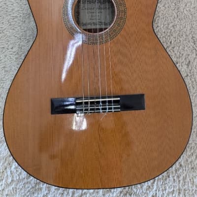 Vintage Shinano LG-65 Classical Guitar - Made In Japan | Reverb