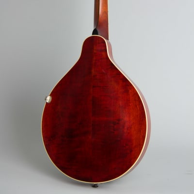 Gibson  Style A-3 Carved Top Mandolin (1919), ser. #53834, original black hard shell case. image 2