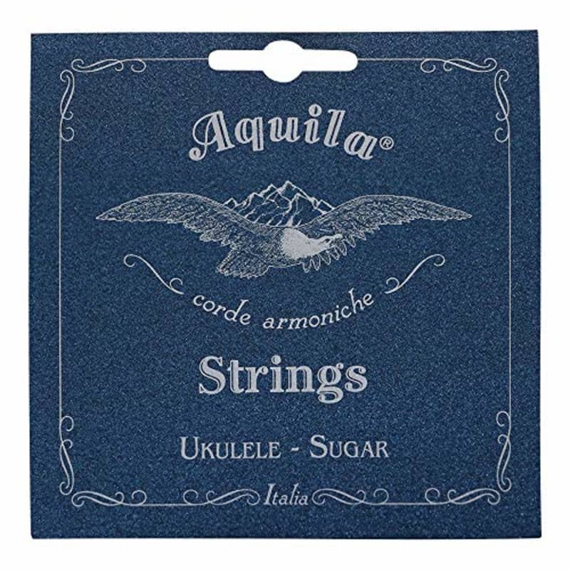 Worth Clear Fluorocarbon SINGLE STRING Low G Tenor/Concert/Soprano Ukulele  String Enough For 2 Uses