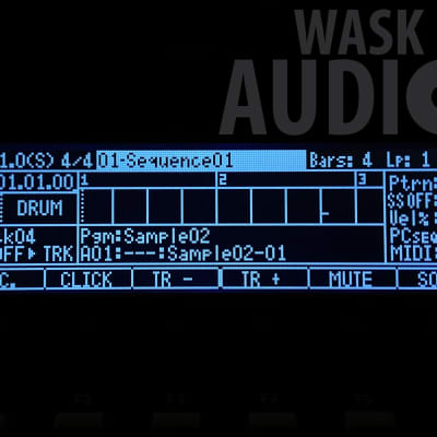 Akai MPC 2500 Display / Black & White / Plug & Play