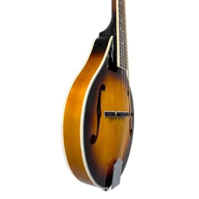 BeaverCreek Spruce Top A-Style Mandolin - Left Handed - Gig Bag Included image 2