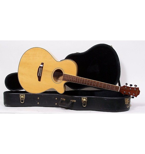 Hohner acoustic store electric guitar