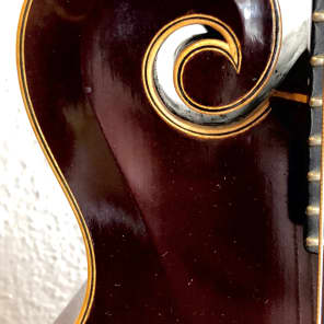Passernig Custom USA Hand Made  F-Style  Mandolin   2006 Classic Sunburst image 5
