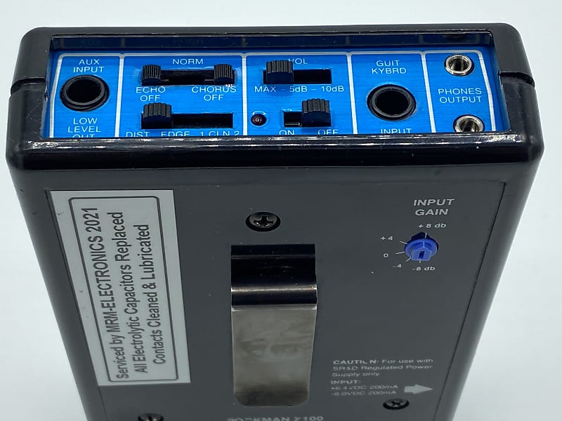 Rockman X100 Rev 10 w/Dry Mod (NEW CAPACITORS) SR&D Scholz