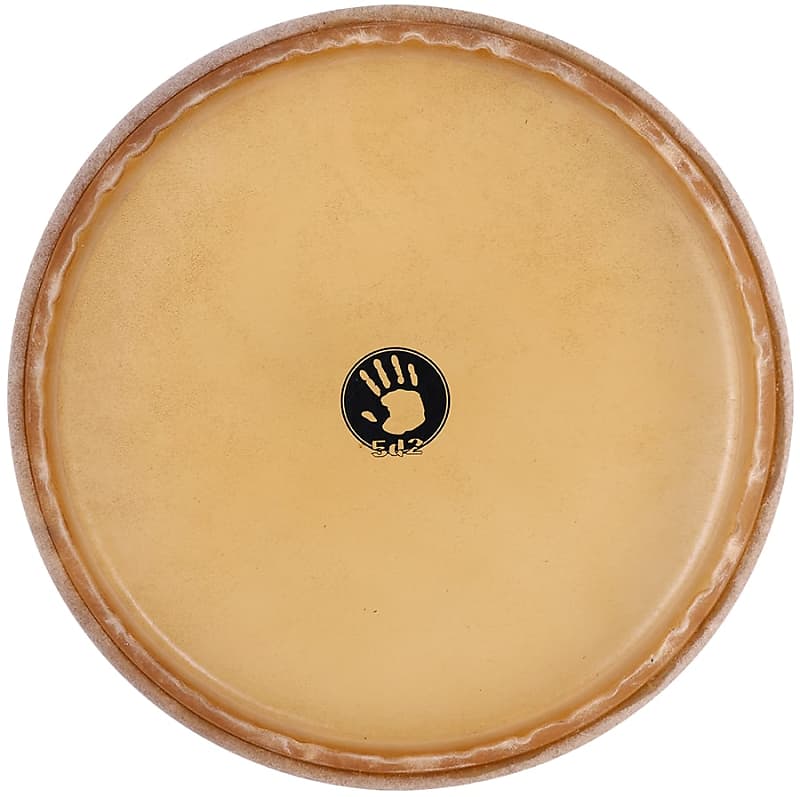 5d2 Mounted Rawhide Conga Head 121/2" Reverb