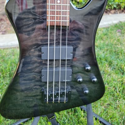 Spector Rex 5 | Reverb