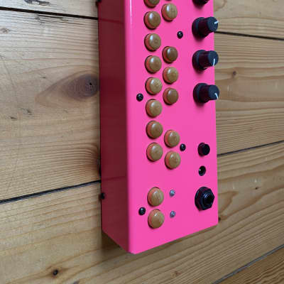 Critter & Guitari Bolsa Bass