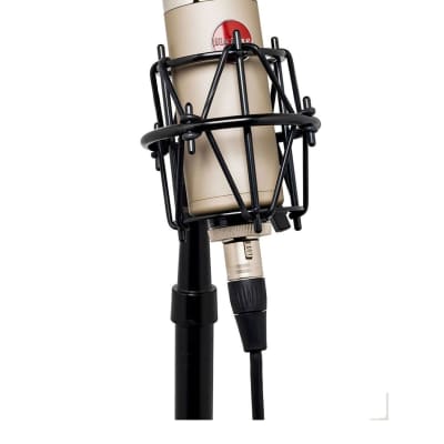 Mojave Audio MA-300 | Multi-Pattern Tube Condenser Microphone | Satin Nickel image 4