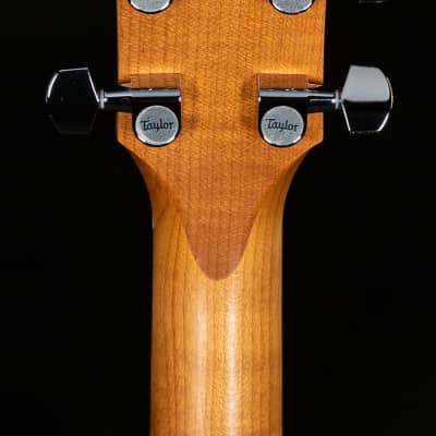 Taylor 110e Dreadnought Walnut/Sitka (037) image 11