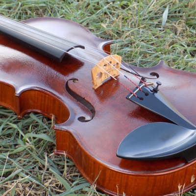 Professional Violin, Antique Dark Brown Varnish, Handmade in Kansas USA by Colton Mulder, Crow Creek Fiddles 2023 image 10