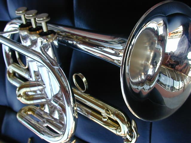 berkeleywind C Bb cornet | Reverb berkeleywind C Bb cornet | Reverb