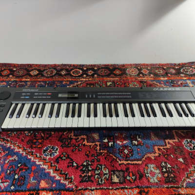 Roland Alpha Alpha Juno-2 61-Key Programmable Polyphonic Synthesizer 1985 - 1988 (Serviced / Warranty)