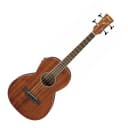 Ibanez  Performance Series Parlor Acoustic-Electric Bass Guitar, Open Pore Natural