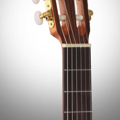 Cordoba Protege C1M Classical Acoustic Guitar image 7
