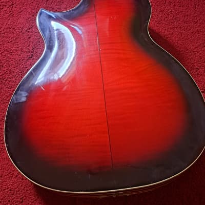Fasan Electric Archtop/Jazz Hollowbody from the 50s image 5