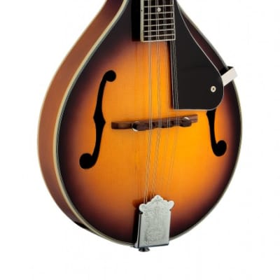 Stagg Bluegrass Mandolin w/ solid spruce top for sale
