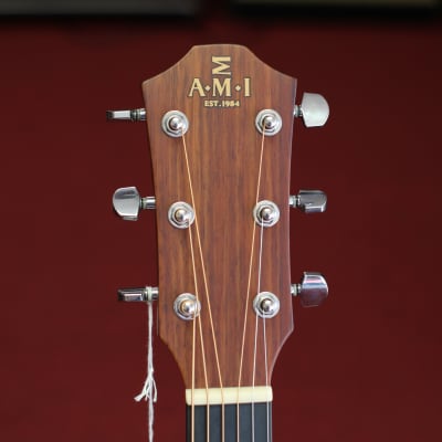 AMI GMCE-1 Acoustic Electric Guitar - Natural Satin Finish image 6
