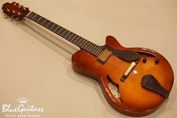 Style N Nishgaki Guitars Arcus n s Fin Hole