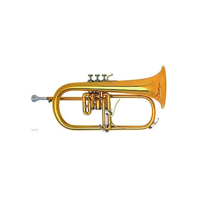 B&S 3146/2GGL Challenger II Professional Flugelhorn Reverb