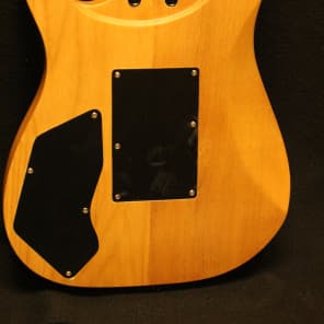 Jason Becker Numbers Custom Electric Guitar, Dimarzio + Peavey Case, Ships WW image 9
